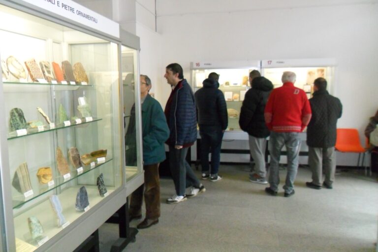Visita al museo dei minerali